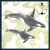 Whales in Watercolour No. 4 Variante 1