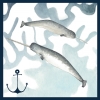 Whales in Watercolour No. 5 Variante 1