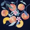 Fruity Variante 1