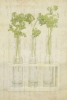 Vintage Herbs No. 1 Variante 1