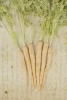 Vintage Herbs No. 3 Variante 1
