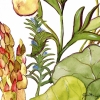 Fresh Veggies No. 1 Variante 1
