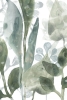 Aquatic Jungle No. 2 Variante 1