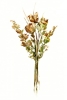 Essence of Roses Variante 1