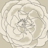 Beige Blooms No. 2 Variante 1