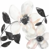 Gentle Anemone Variante 1