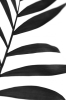 Palm Shadows No. 4 Variante 1