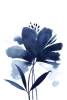 Inky Bloom Variante 1
