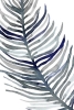 Feather Structure No. 1 Variante 1
