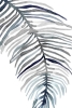 Feather Structure No. 2 Variante 1