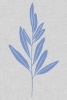 Periwinkle Blue Stems No. 2 Variante 1