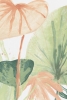 Water Lily Pads Variante 1