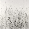 Silver Thicket Variante 1