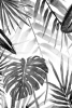 Monochrome Jungle No. 2 Variante 1