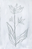 White Herbs No. 3 Variante 1