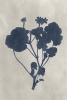 Dark Blue Minimalism No. 2 Variante 1
