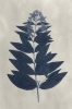Dark Blue Minimalism No. 4 Variante 1