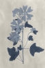 Dark Blue Minimalism No. 8 Variante 1