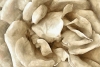 Platin Florals No. 2 Variante 1
