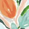 Spring Hope No. 2 Variante 1