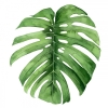 Emerald Leaves No. 4 Variante 1