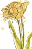 Flower Party No. 1 Variante 1