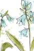 Flower Party No. 4 Variante 1