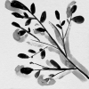 Grayscale No. 2 Variante 1
