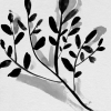 Grayscale No. 4 Variante 1