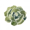 Mossy No. 5 Variante 1