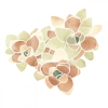Mossy No. 9 Variante 1