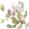 Petals & Leaves Variante 1