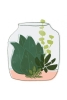 Terrarium No. 7 Variante 1