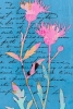 Floral Notes No. 1 Variante 1