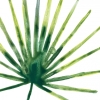 Tropical Leaf Collection No. 1 Variante 1