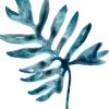 Tropical Leaf Collection No. 4 Variante 1