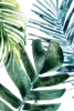 Leafy Shade No. 1 Variante 1