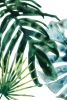 Leafy Shade No. 3 Variante 1