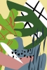Plant Medley No. 1 Variante 1