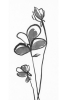 Monochromatic Stems No. 2 Variante 1