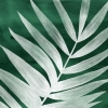 Subtle Palm No. 2 Variante 1