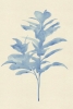 Easy Ink No. 1 Variante 1