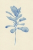 Easy Ink No. 2 Variante 1