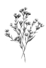 Wild Stems No. 3 Variante 1