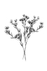 Wild Stems No. 4 Variante 1