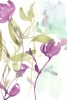 Purple and Pastel Variante 1