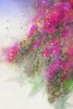 Flowering Vines Variante 1