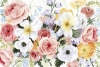 All the Wildflowers Variante 1