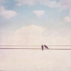 Birds on a Line No. 1 Variante 1