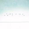 Birds on a Line No. 2 Variante 1